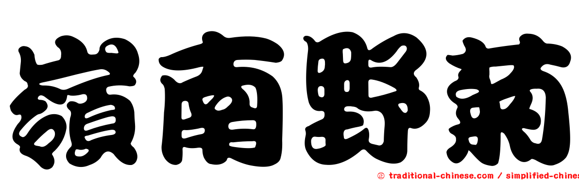 嶺南野菊