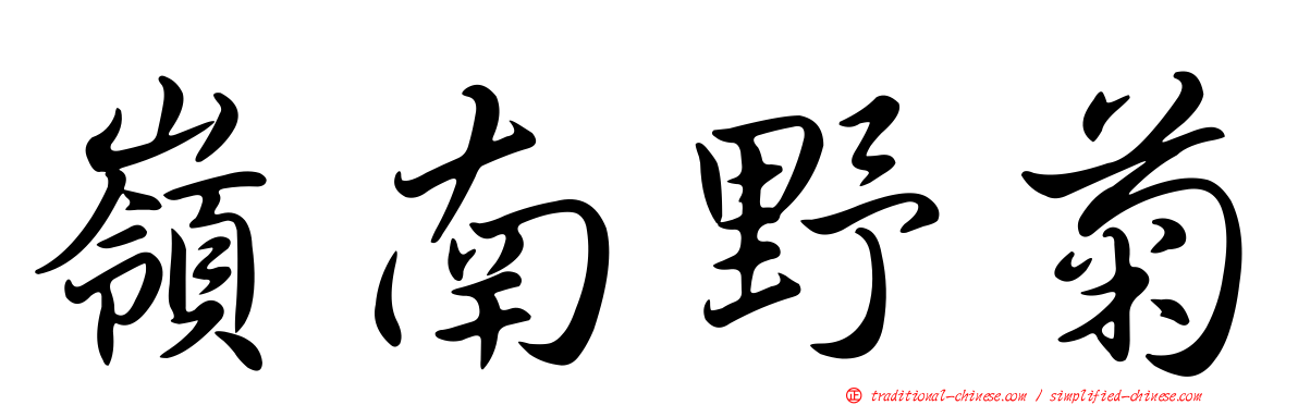 嶺南野菊