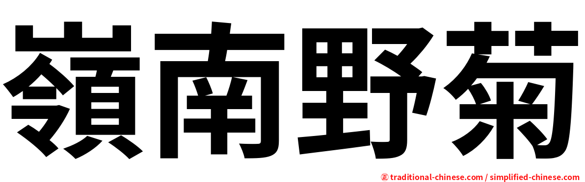 嶺南野菊