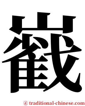 巀 serif font