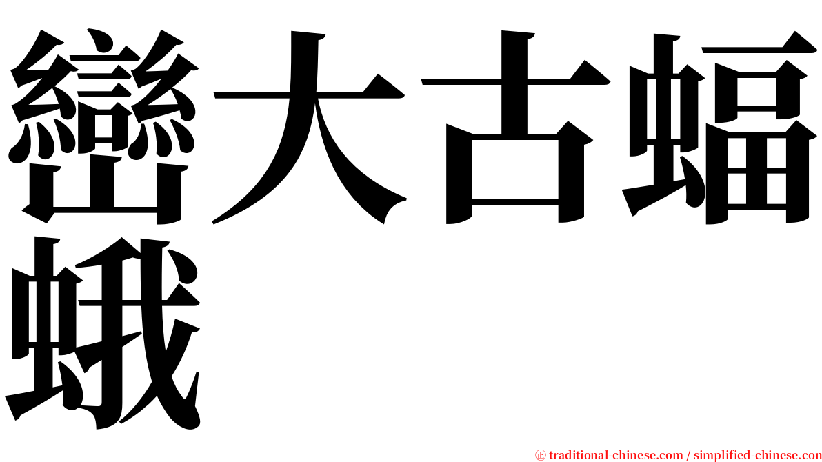 巒大古蝠蛾 serif font