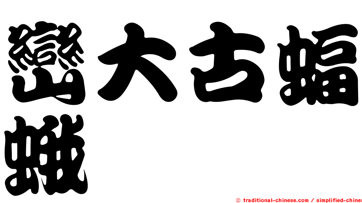 巒大古蝠蛾