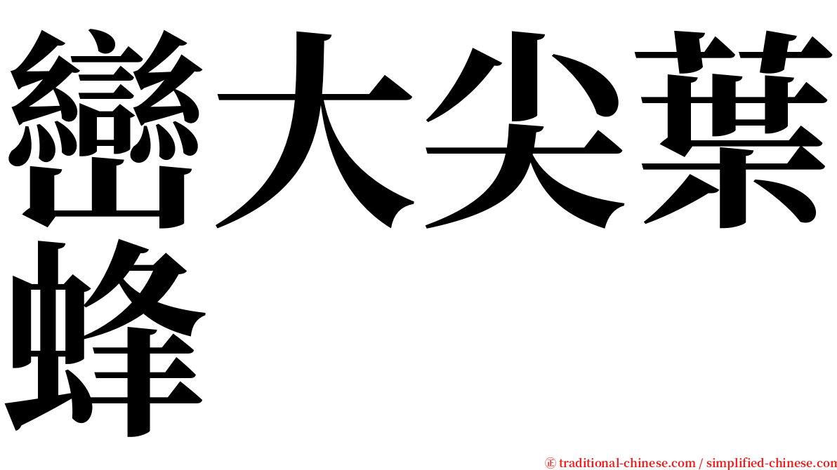 巒大尖葉蜂 serif font