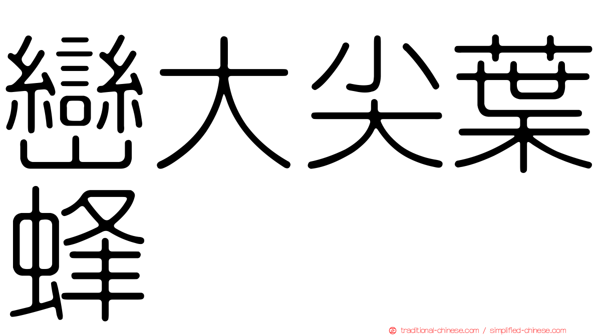 巒大尖葉蜂