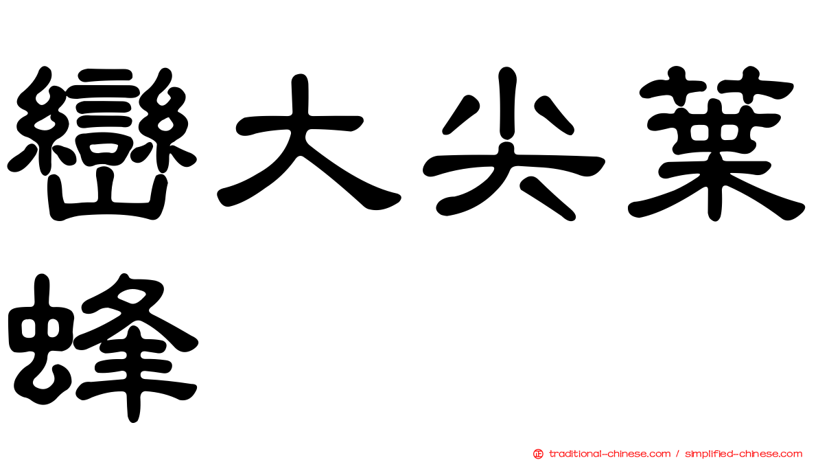 巒大尖葉蜂
