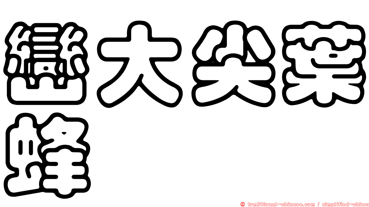 巒大尖葉蜂