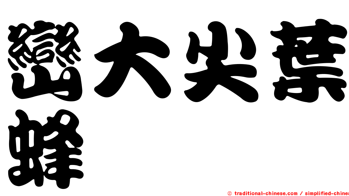 巒大尖葉蜂