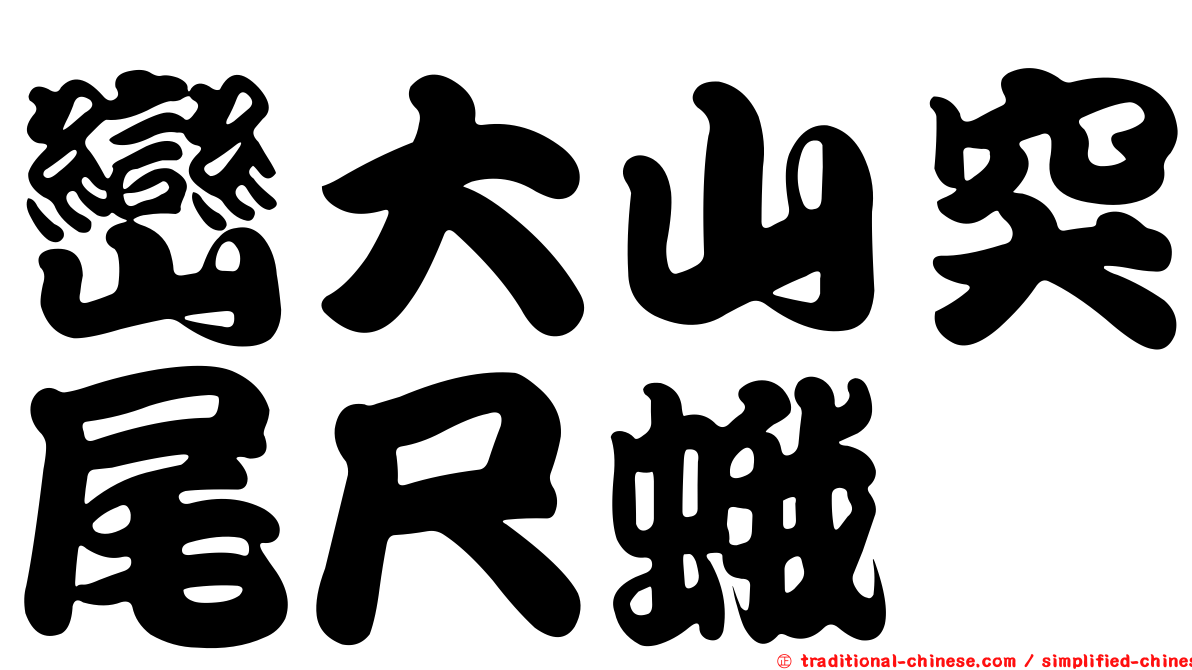 巒大山突尾尺蛾