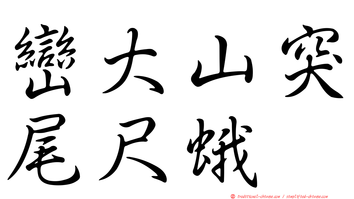 巒大山突尾尺蛾