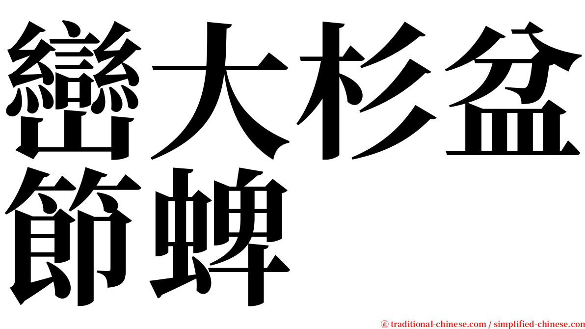 巒大杉盆節蜱 serif font