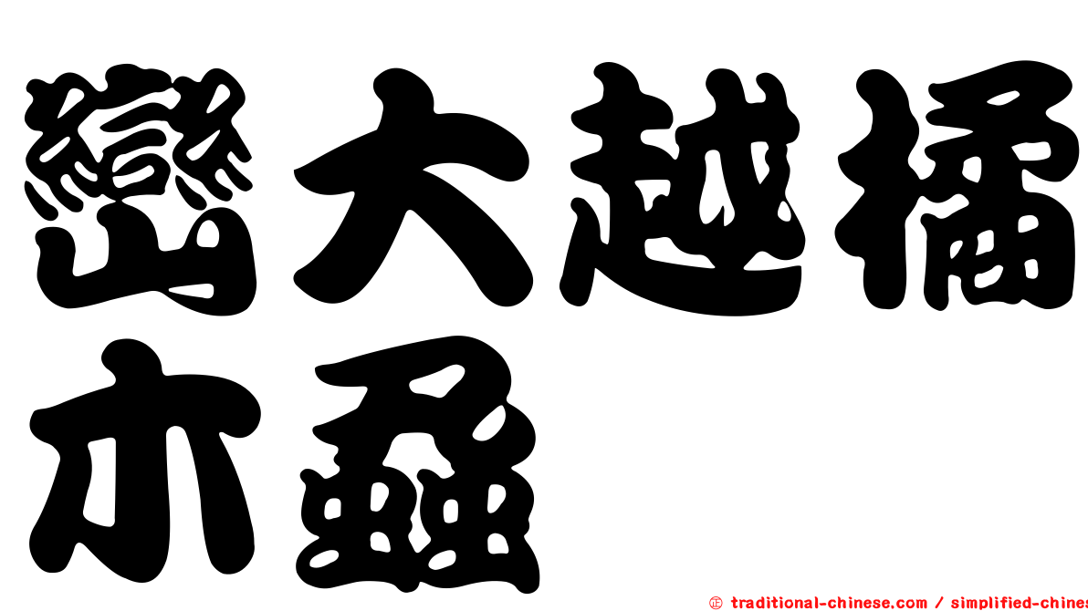 巒大越橘木蝨
