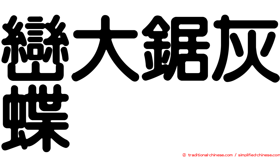 巒大鋸灰蝶