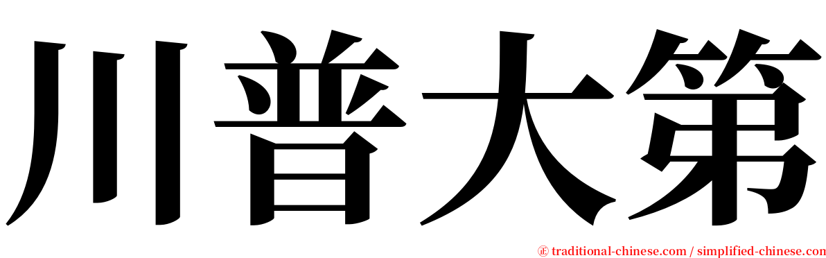 川普大第 serif font