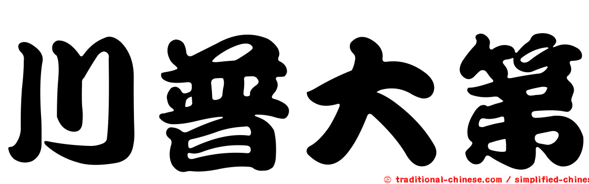 川普大第