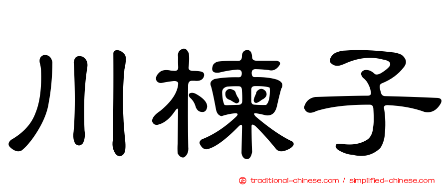 川楝子