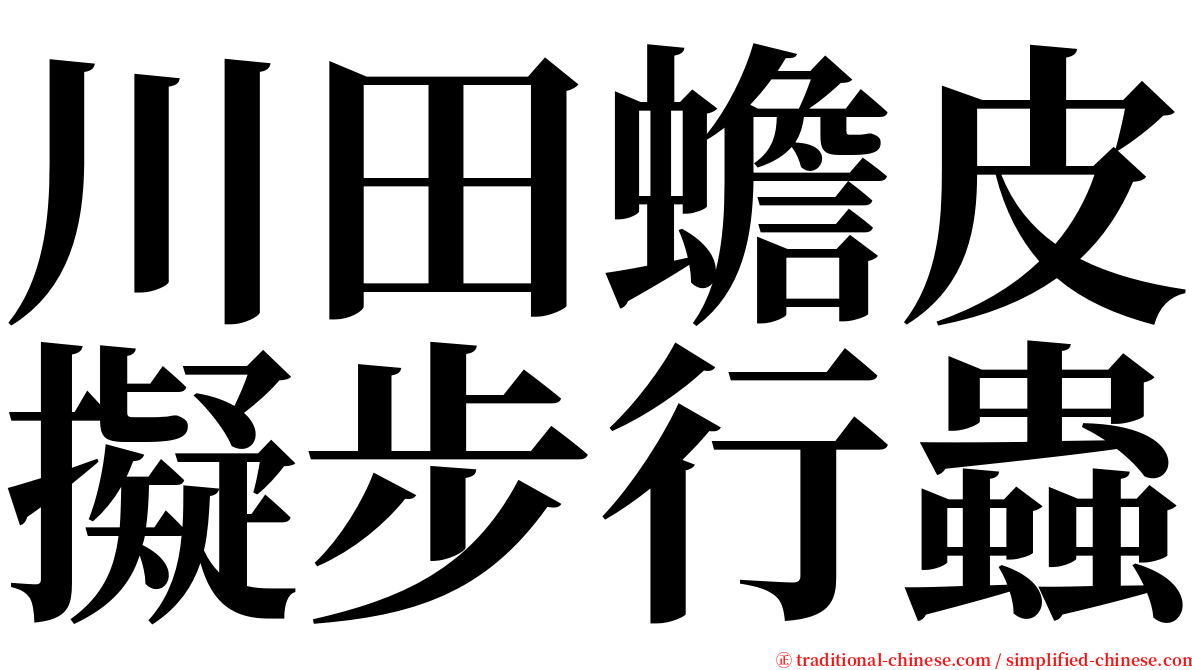 川田蟾皮擬步行蟲 serif font