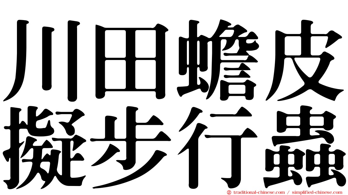 川田蟾皮擬步行蟲