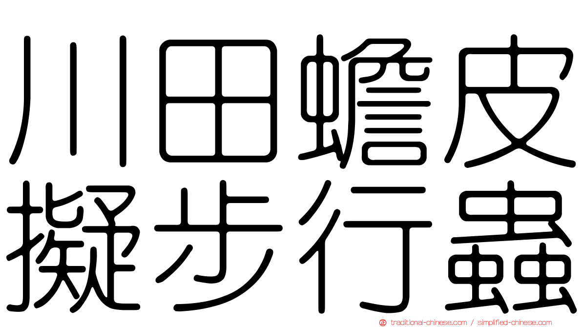 川田蟾皮擬步行蟲