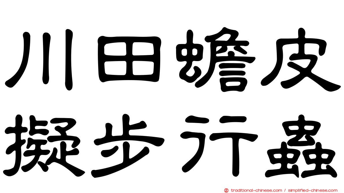 川田蟾皮擬步行蟲