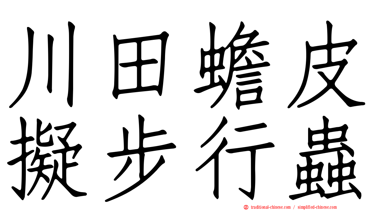 川田蟾皮擬步行蟲
