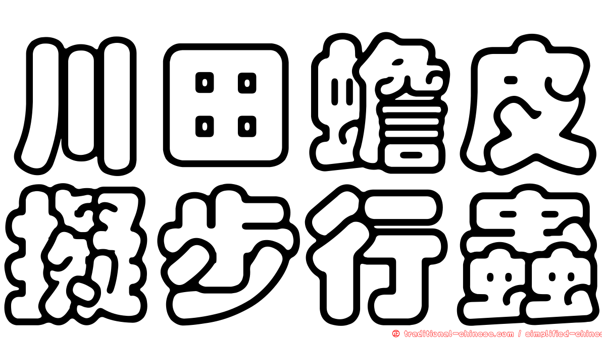 川田蟾皮擬步行蟲
