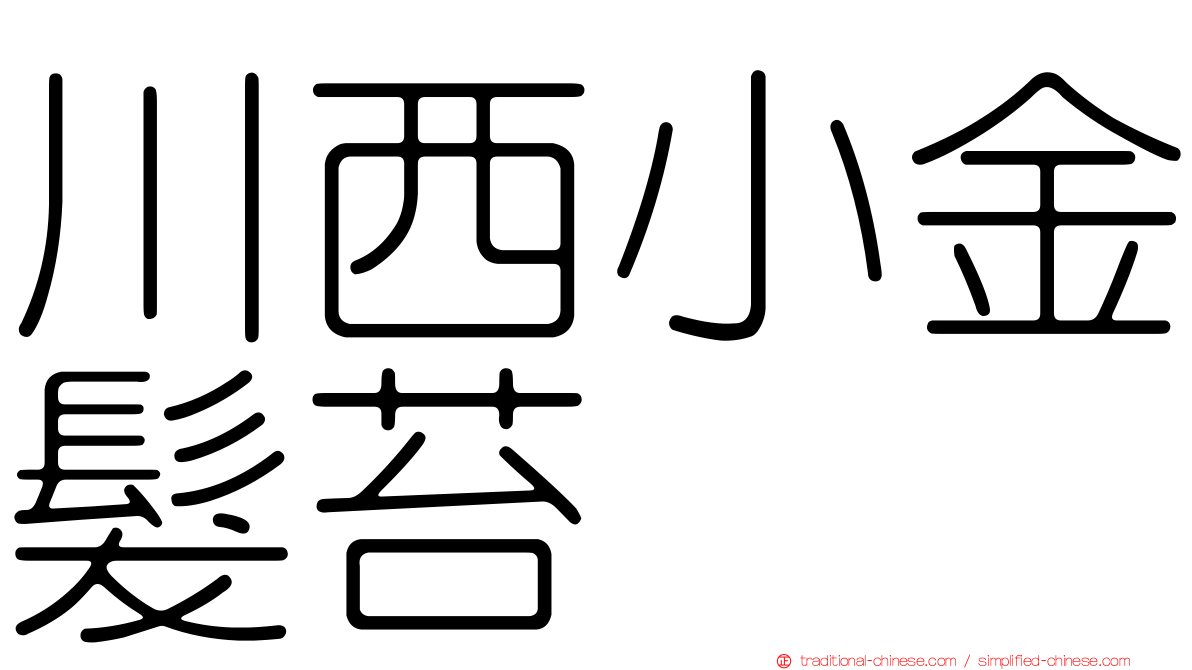 川西小金髮苔