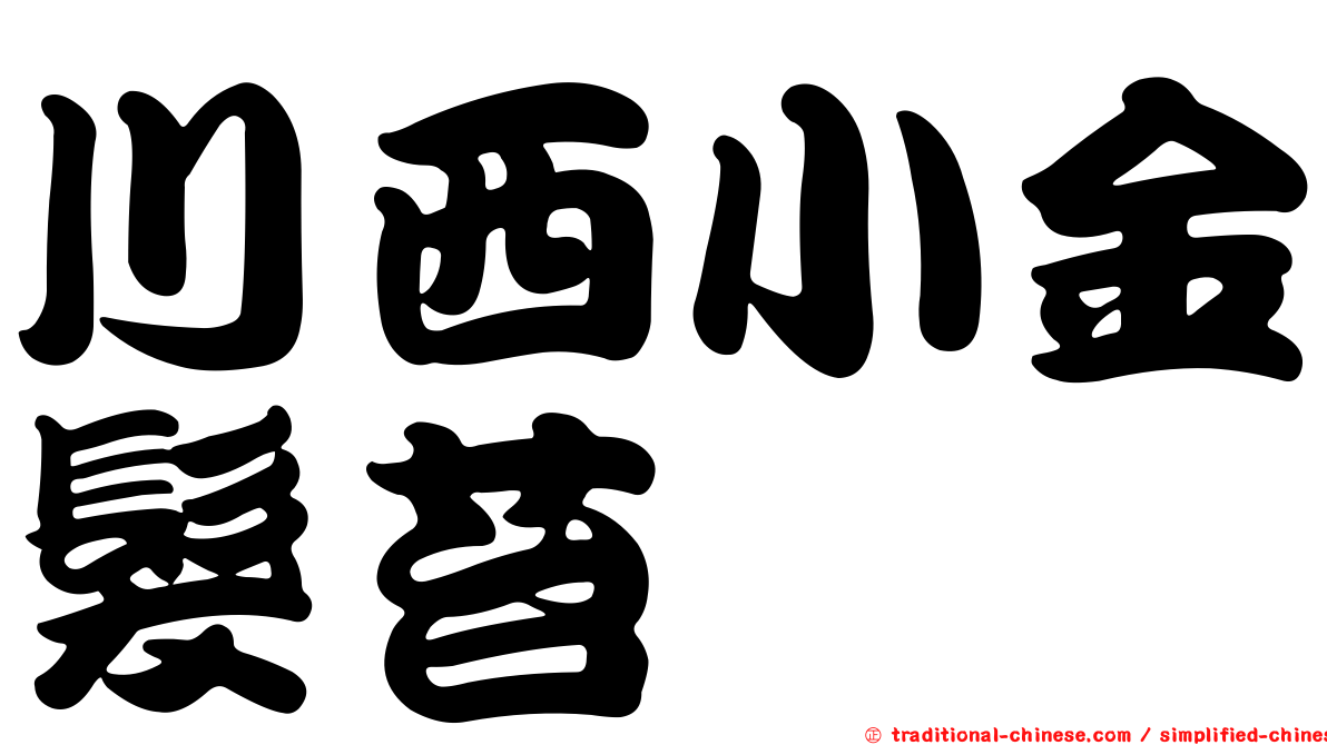 川西小金髮苔