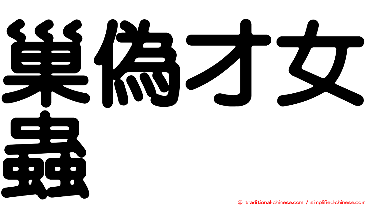 巢偽才女蟲