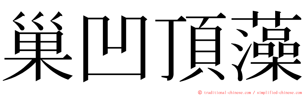 巢凹頂藻 ming font