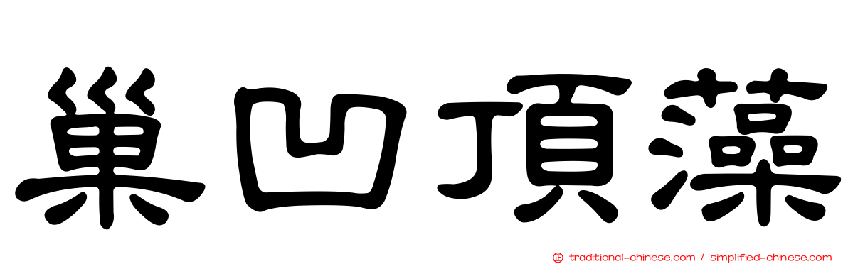 巢凹頂藻
