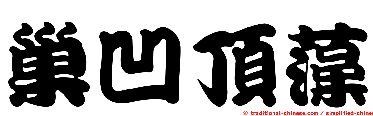 巢凹頂藻