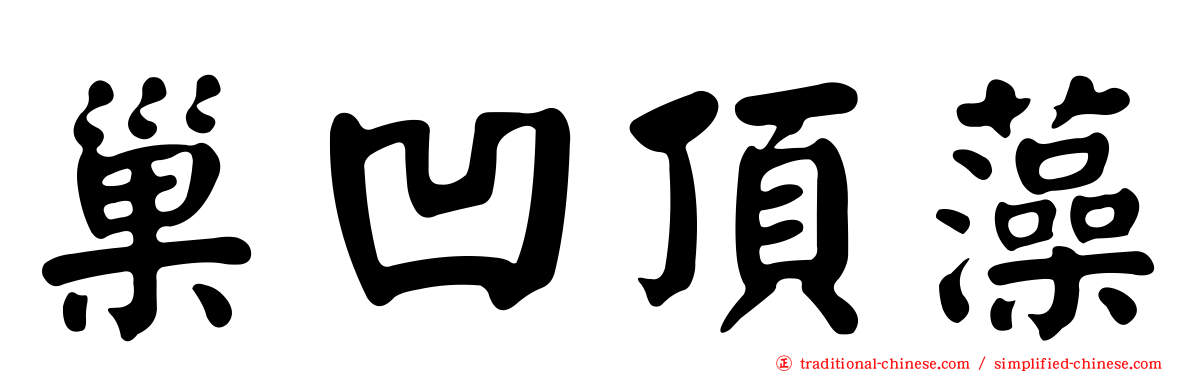 巢凹頂藻