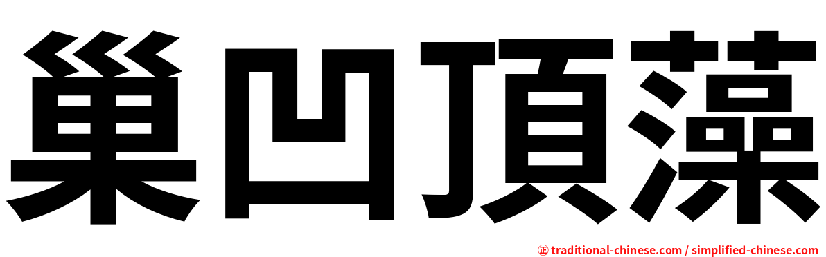巢凹頂藻