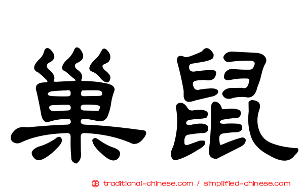巢鼠