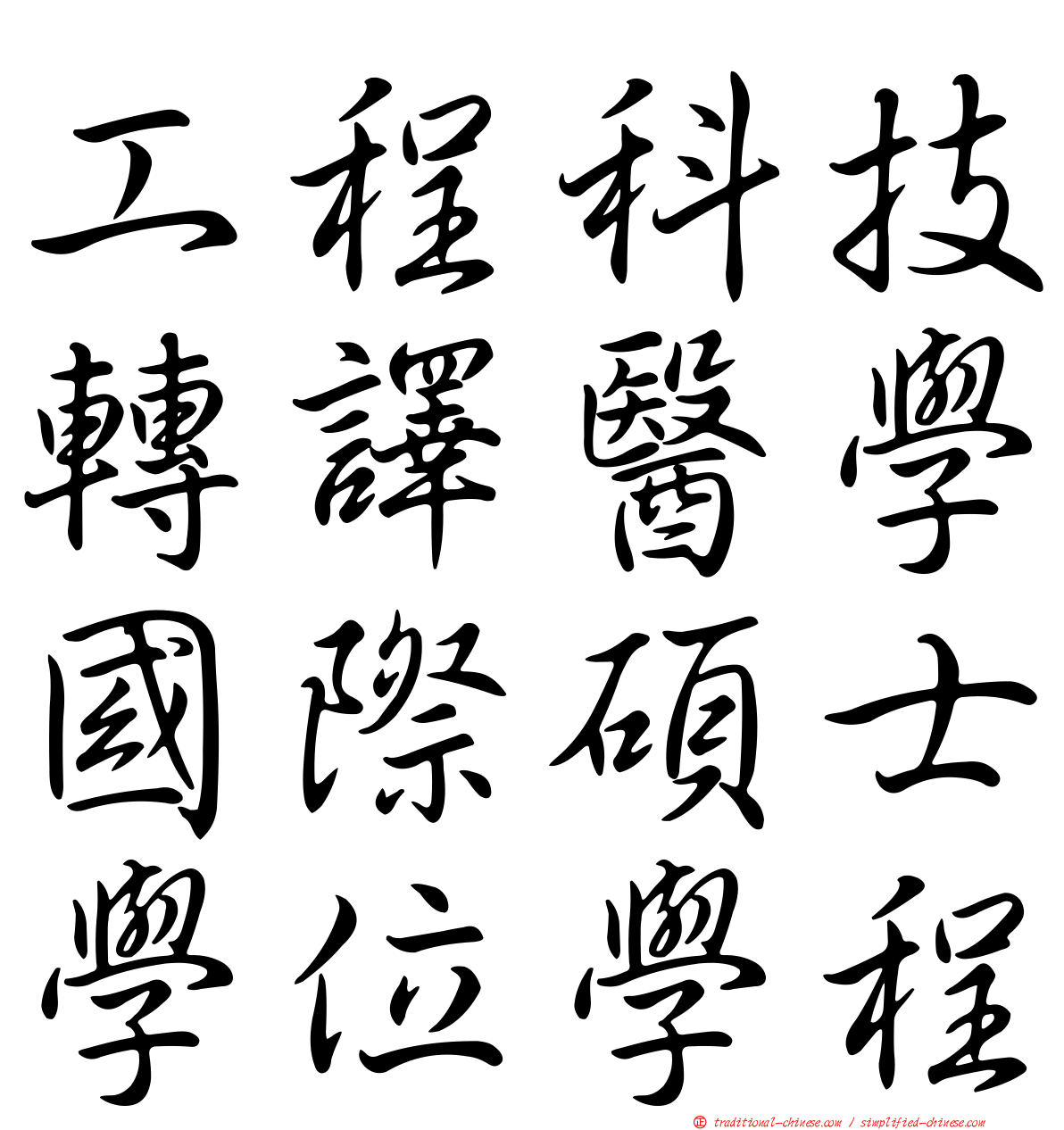 工程科技轉譯醫學國際碩士學位學程
