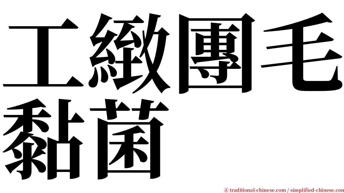 工緻團毛黏菌 serif font
