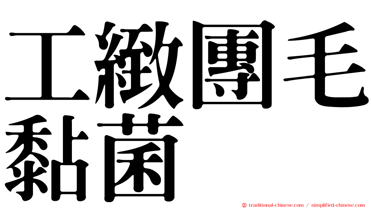 工緻團毛黏菌