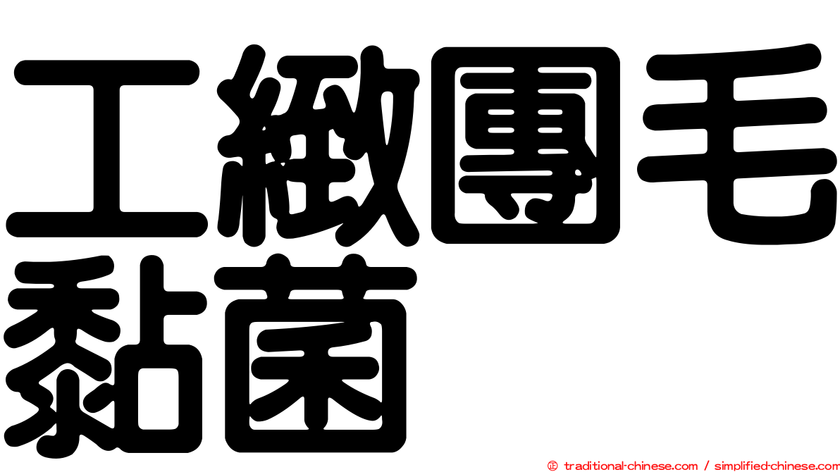 工緻團毛黏菌