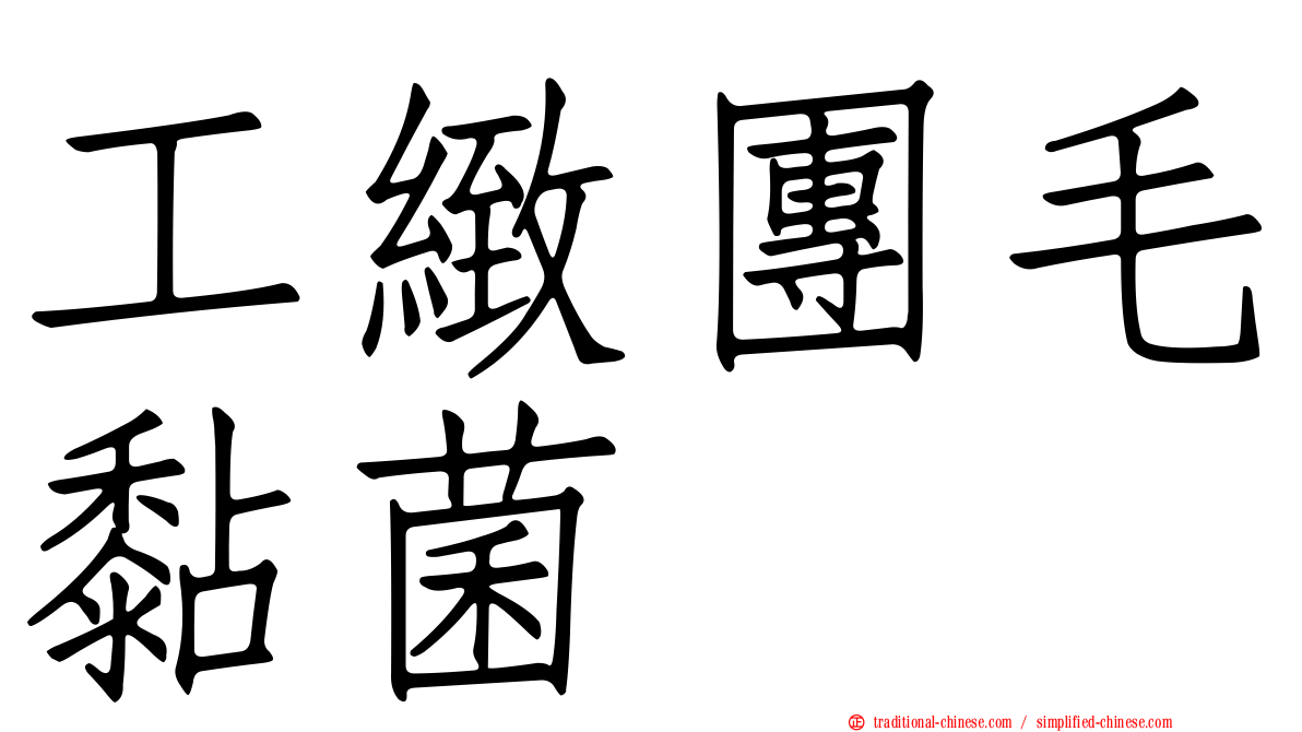 工緻團毛黏菌