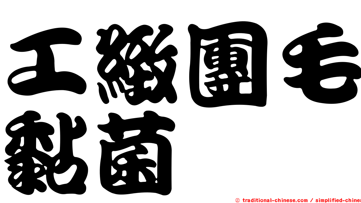 工緻團毛黏菌