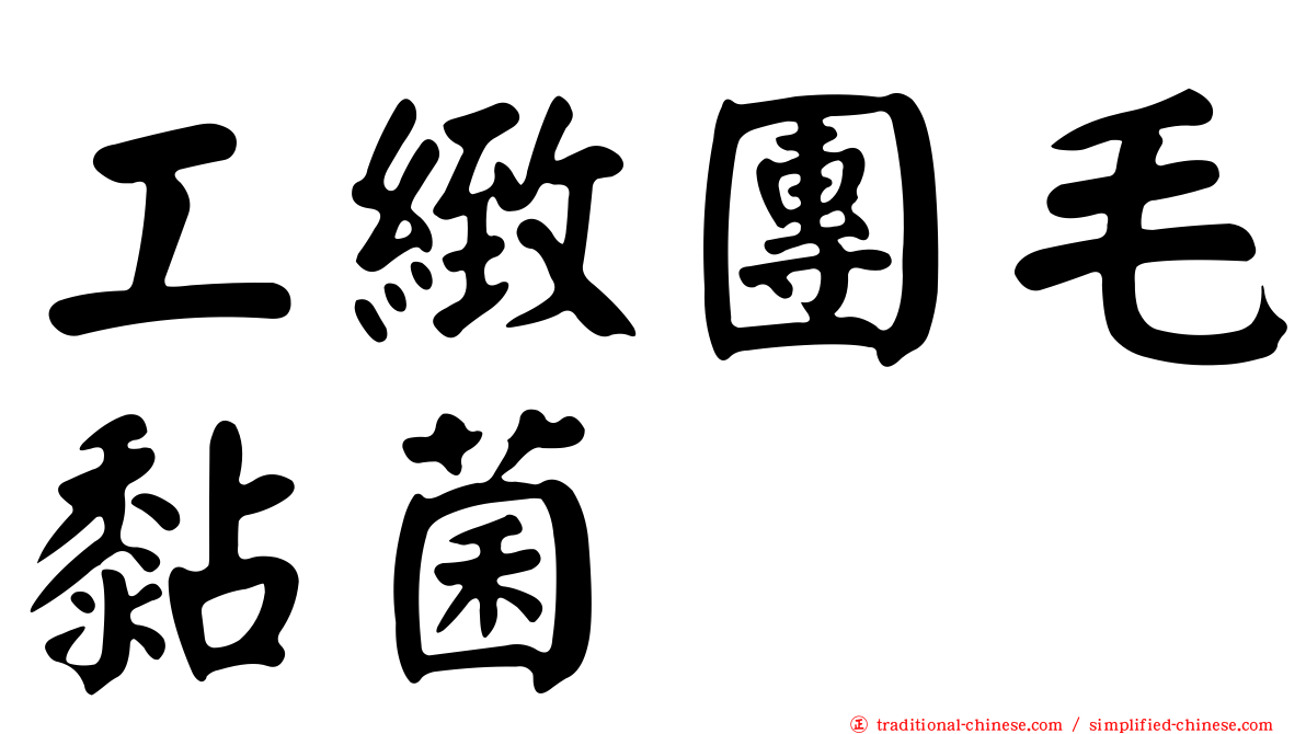 工緻團毛黏菌
