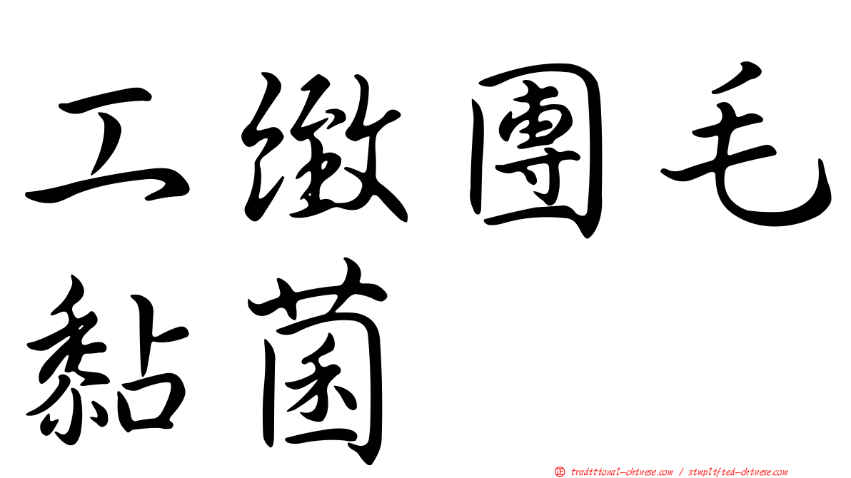 工緻團毛黏菌