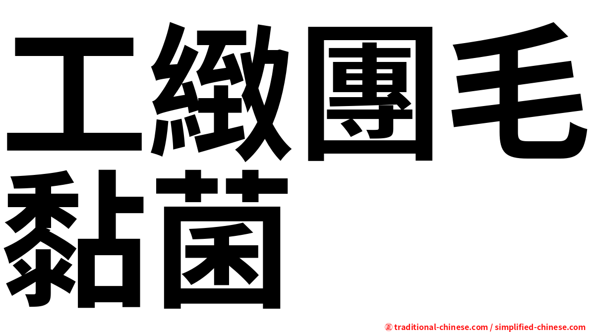 工緻團毛黏菌
