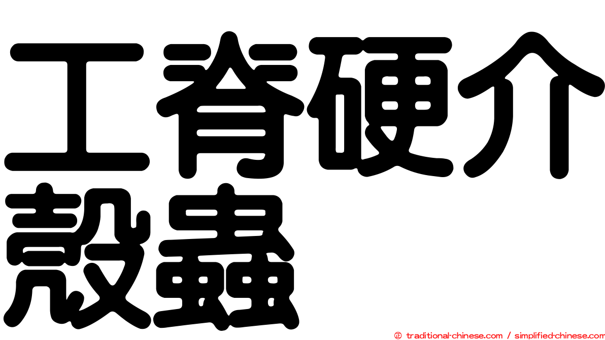 工脊硬介殼蟲