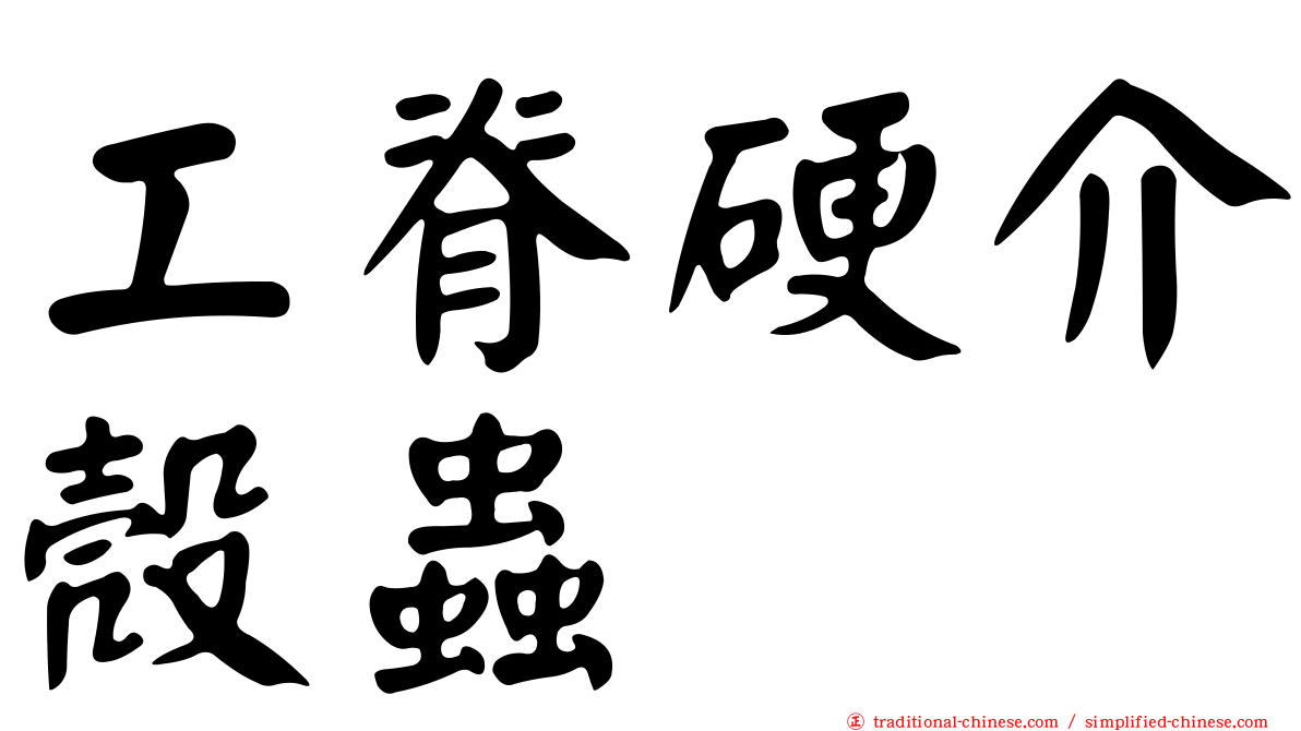 工脊硬介殼蟲