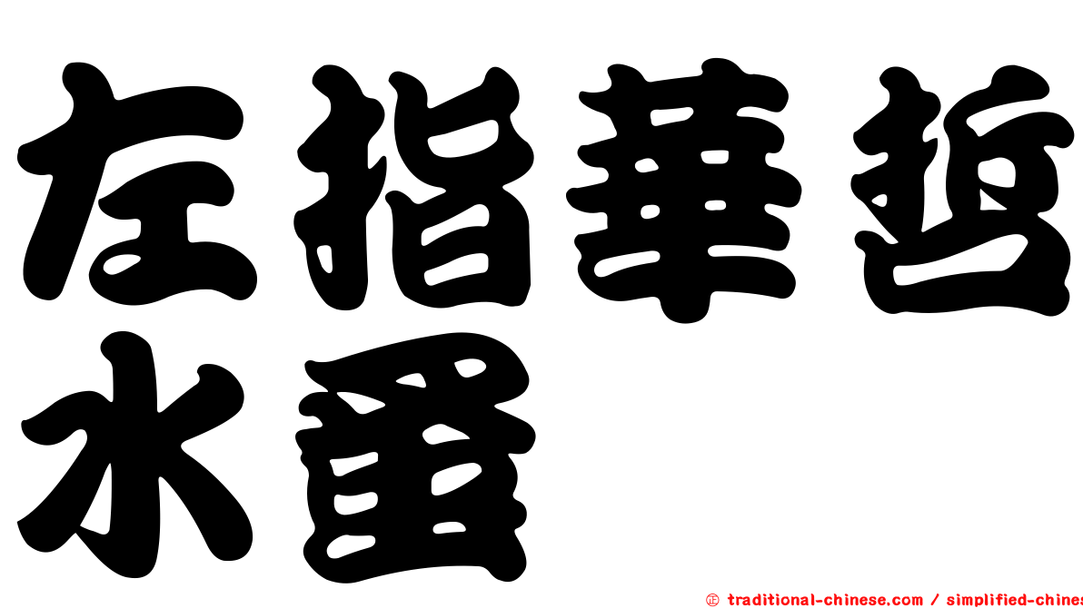 左指華哲水蚤