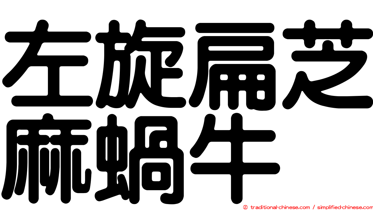 左旋扁芝麻蝸牛
