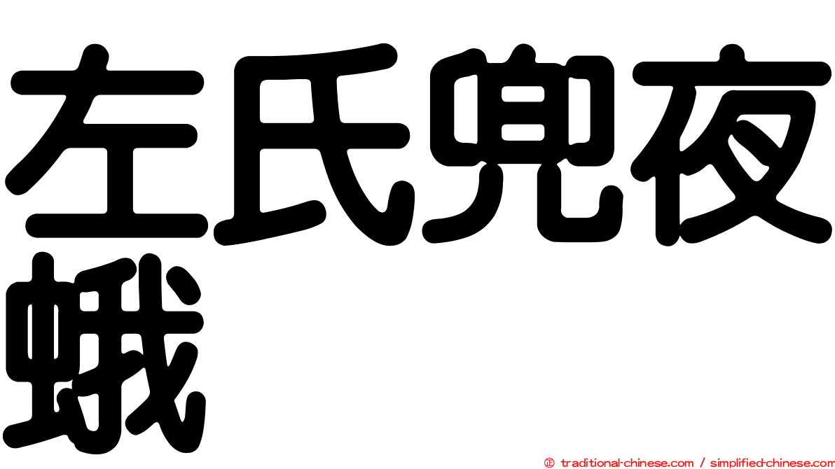 左氏兜夜蛾