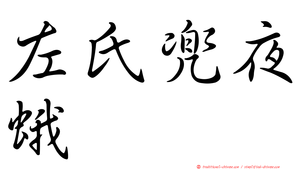左氏兜夜蛾