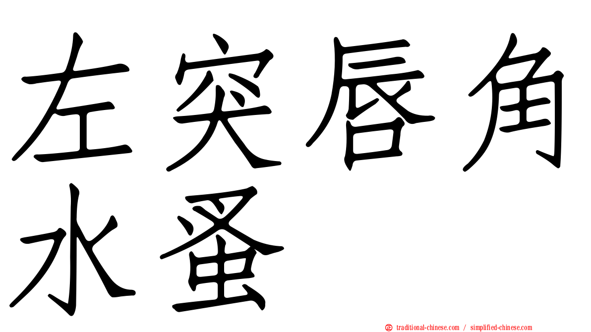 左突唇角水蚤